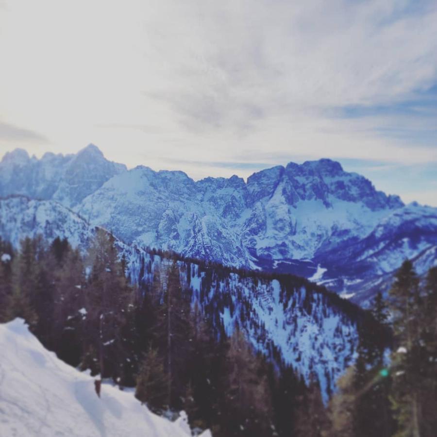 Al Sentiero Di Charly Bed & Breakfast Tarvisio Ngoại thất bức ảnh