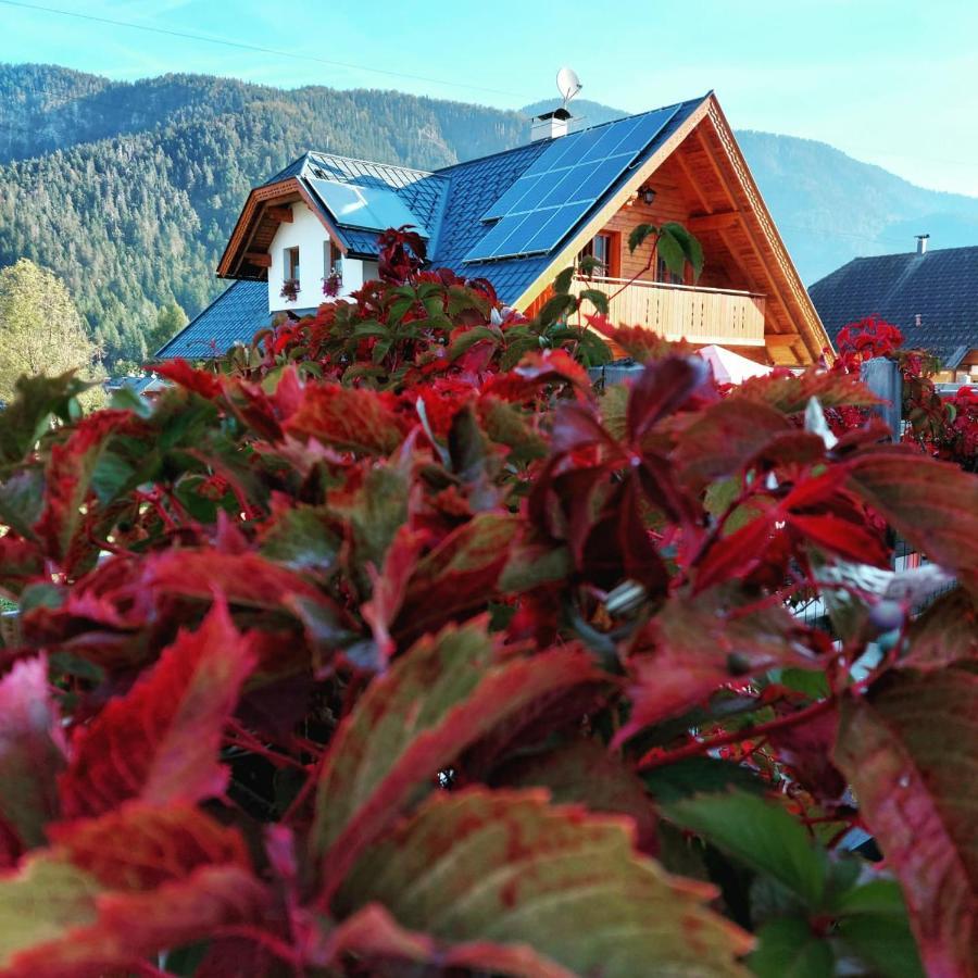 Al Sentiero Di Charly Bed & Breakfast Tarvisio Ngoại thất bức ảnh