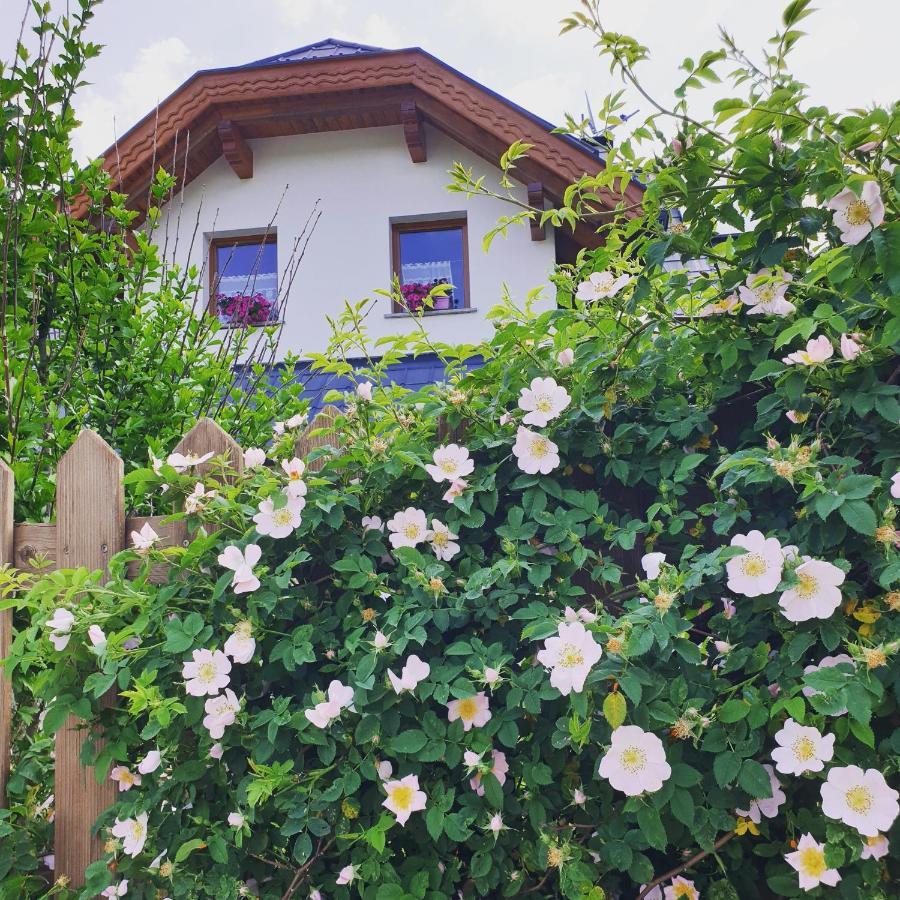 Al Sentiero Di Charly Bed & Breakfast Tarvisio Ngoại thất bức ảnh