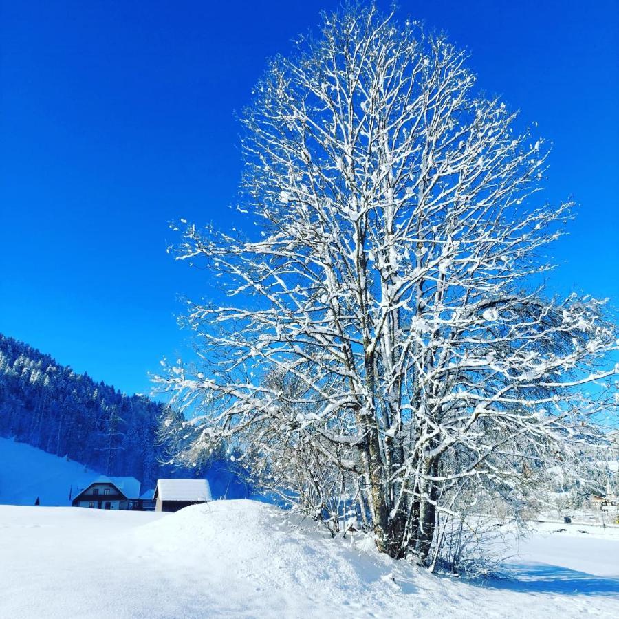Al Sentiero Di Charly Bed & Breakfast Tarvisio Ngoại thất bức ảnh