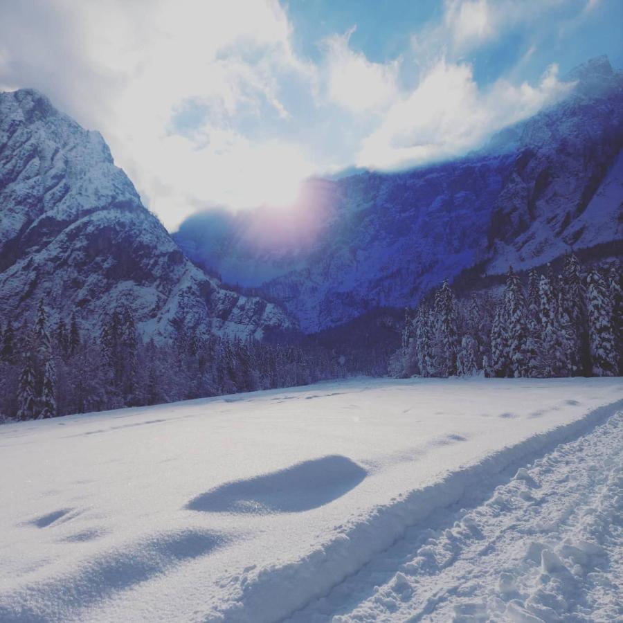 Al Sentiero Di Charly Bed & Breakfast Tarvisio Ngoại thất bức ảnh