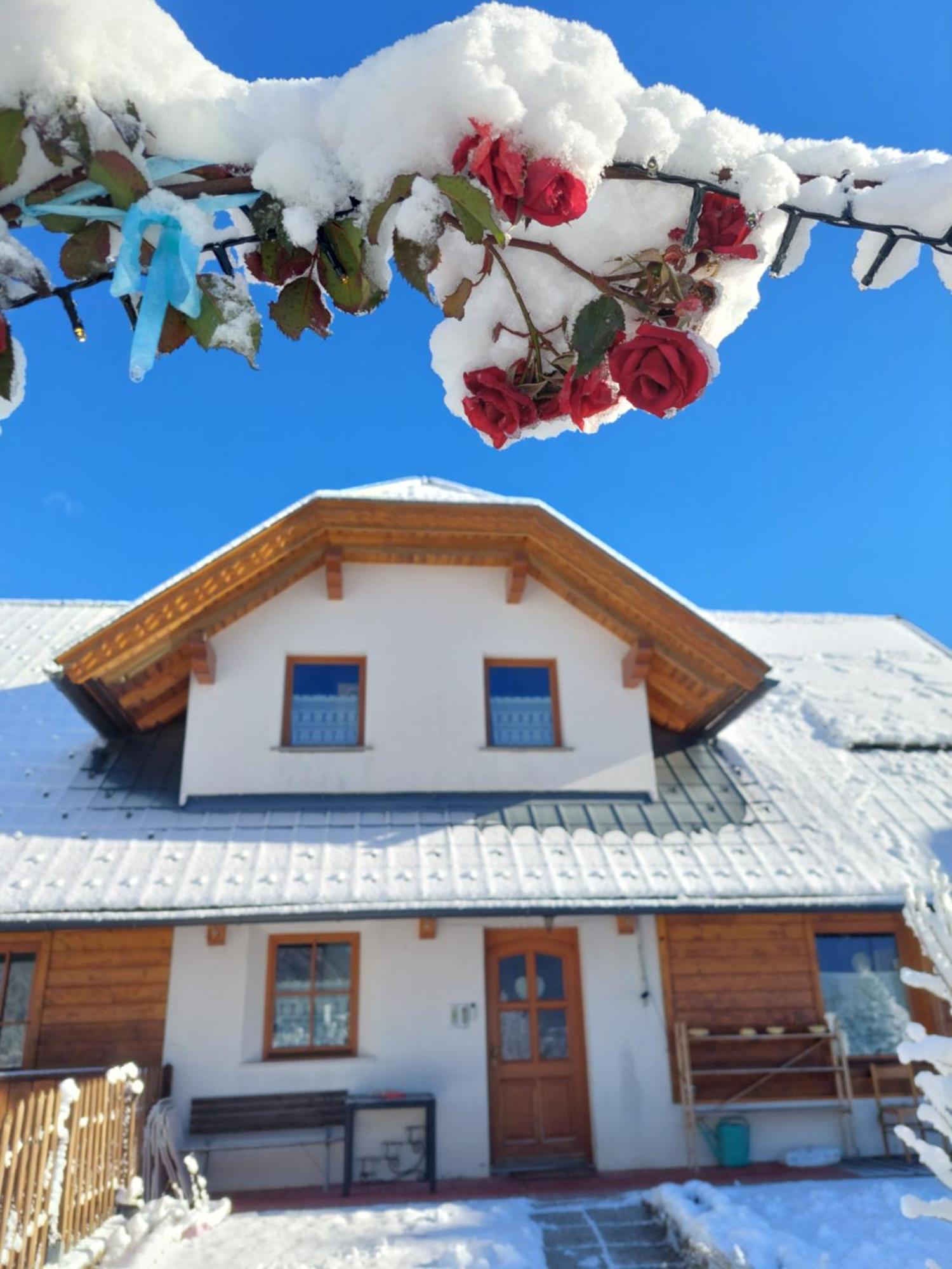 Al Sentiero Di Charly Bed & Breakfast Tarvisio Ngoại thất bức ảnh